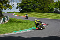 Lower Group Black Bikes